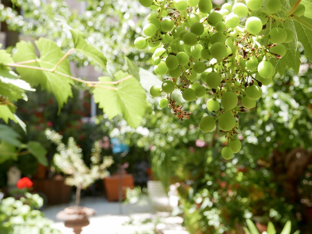 Vieux Port Panier Jardin Hotel Marseille Exterior photo